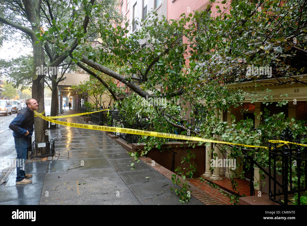 Ottobre 29, 2012, Brooklyn, NY, Stati Uniti. Su Clark Street in Brooklyn Heights un uomo guarda in corrispondenza di un lembo di albero abbattuto dall uragano Sandy Foto Stock