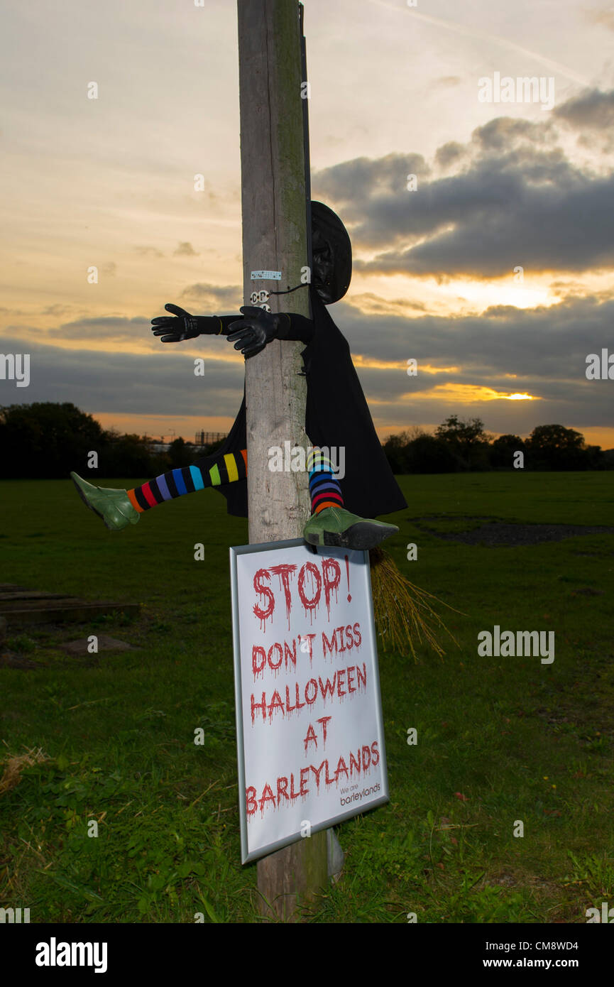 Billericay, Essex, Regno Unito. Il 30 ottobre 2012. Un modello di una strega di Halloween in striata collant che sembra aver schiantato il loro manico in un telegrafo polo esterno Barleylands Farm, in Billericay. La strega è lì per pubblicizzare un'avventura da brivido per i bambini ad Halloween. Credito: Allsorts Stock Photo / Alamy Live News Foto Stock