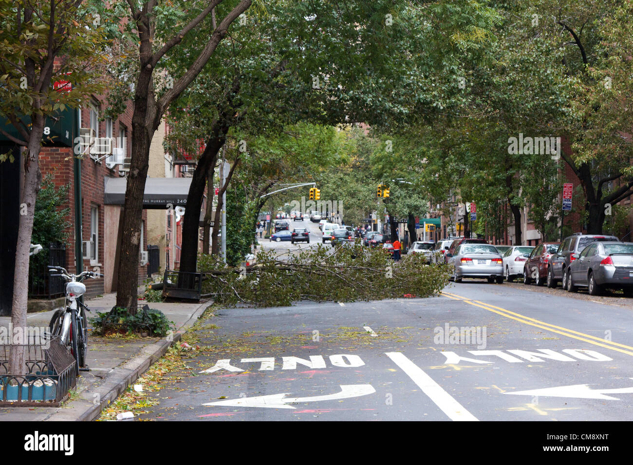 Stati Uniti d'America, NEW YORK, NY - 30 ottobre 2012: la caduta di alberi e rami può essere visto intorno a New York, NY, il 30 ottobre 2012, il giorno dopo l uragano Sandy ha colpito la città che non dorme mai. Foto Stock
