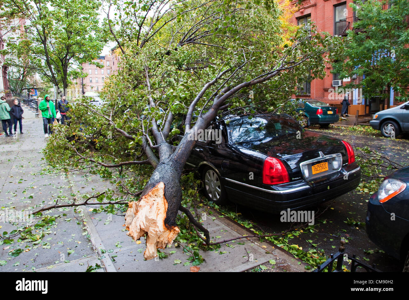 Un albero caduto ha schiacciato un auto. Dopo il passaggio dell uragano Sandy può essere visto nelle strade di New York City, Stati Uniti d'America. Il 30 ottobre 2012. Foto Stock