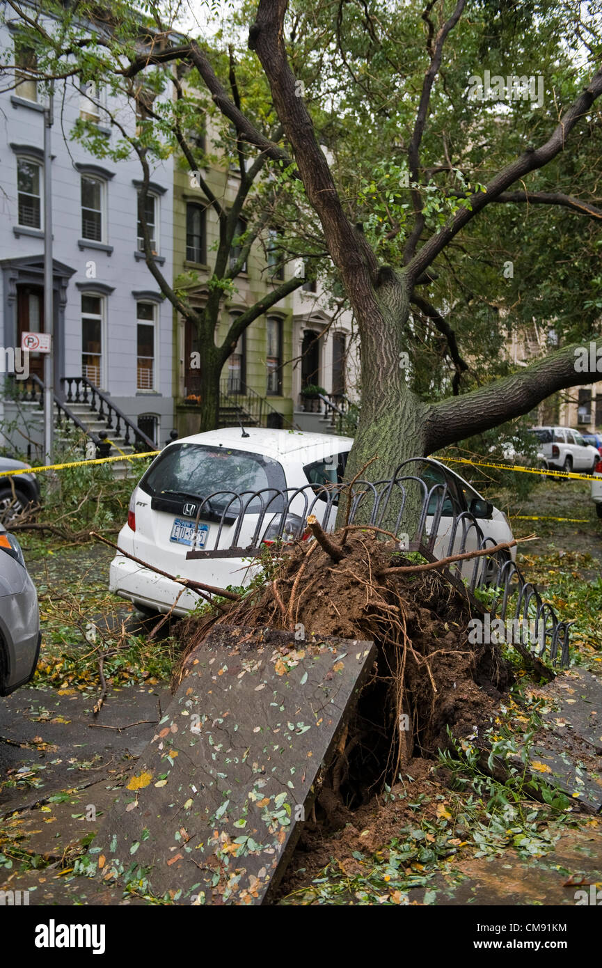 Uragano Sandy postumi, Park Slope di Brooklyn, a New York City, Stati Uniti d'America. Foto Stock