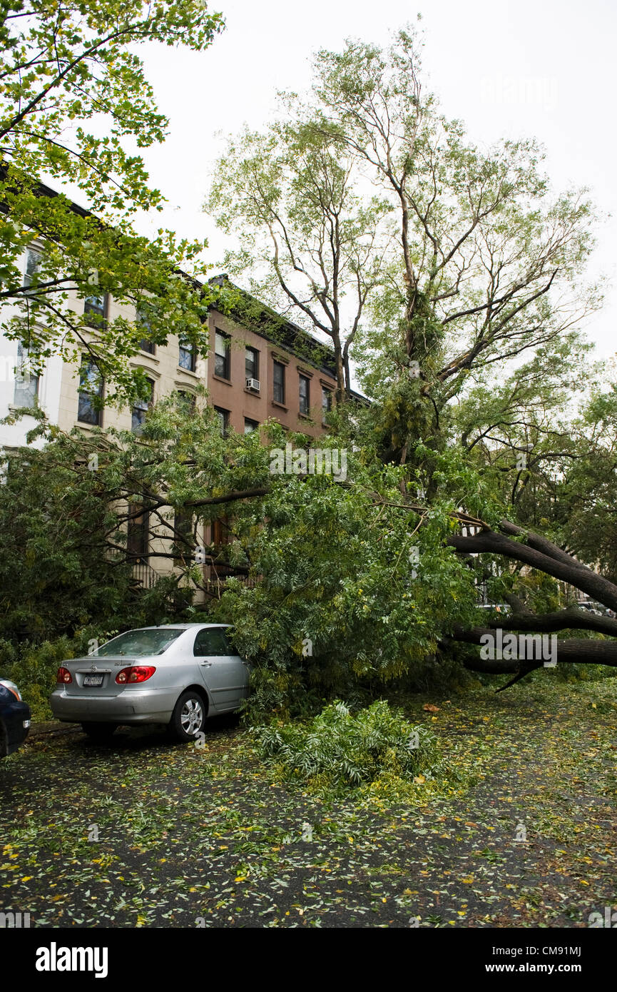 Uragano Sandy postumi, Park Slope di Brooklyn, a New York City, Stati Uniti d'America. Foto Stock