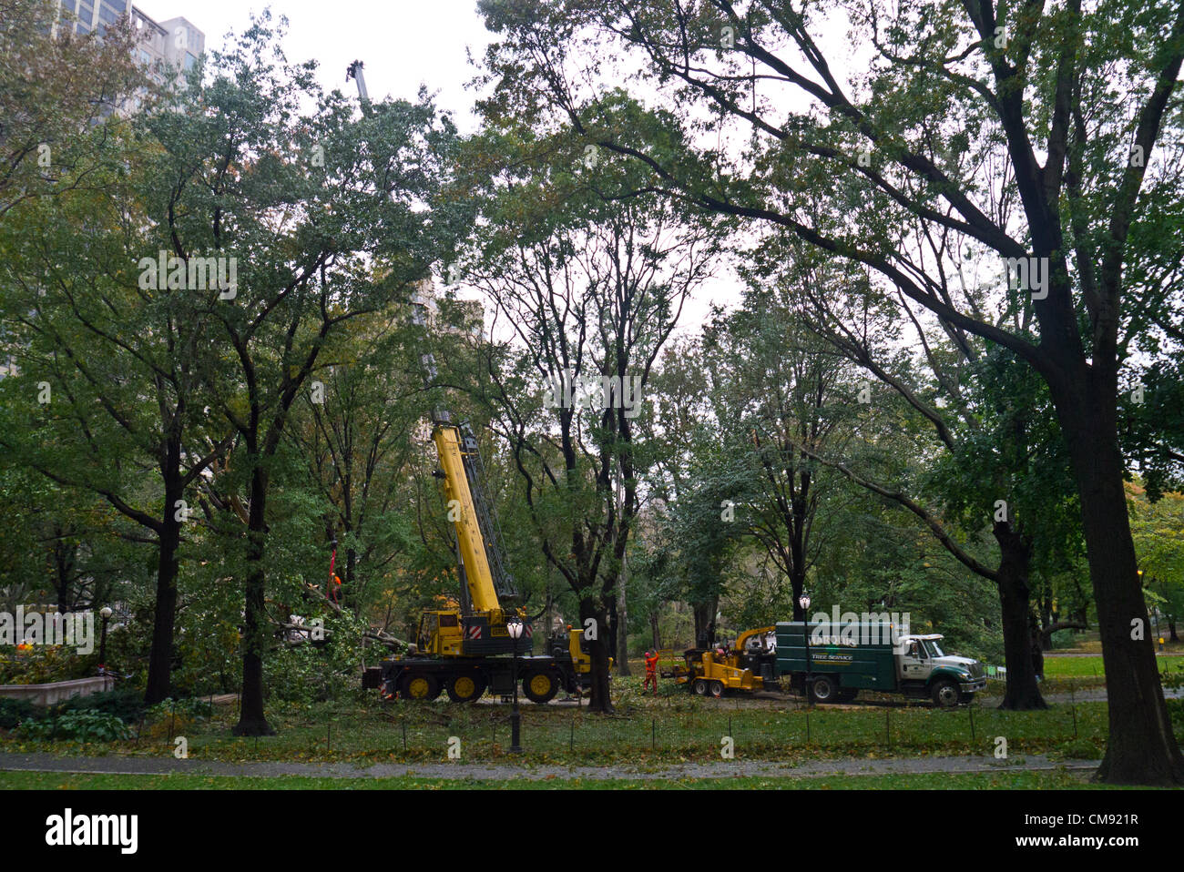 NEW YORK - 30 ottobre: 2012 lavoratori lotta per rimuovere gli alberi abbattuti nel parco centrale di un giorno dopo l uragano Sandy Ottobre 30, 2012 in New York City. (Foto di Donald Bowers ) Foto Stock