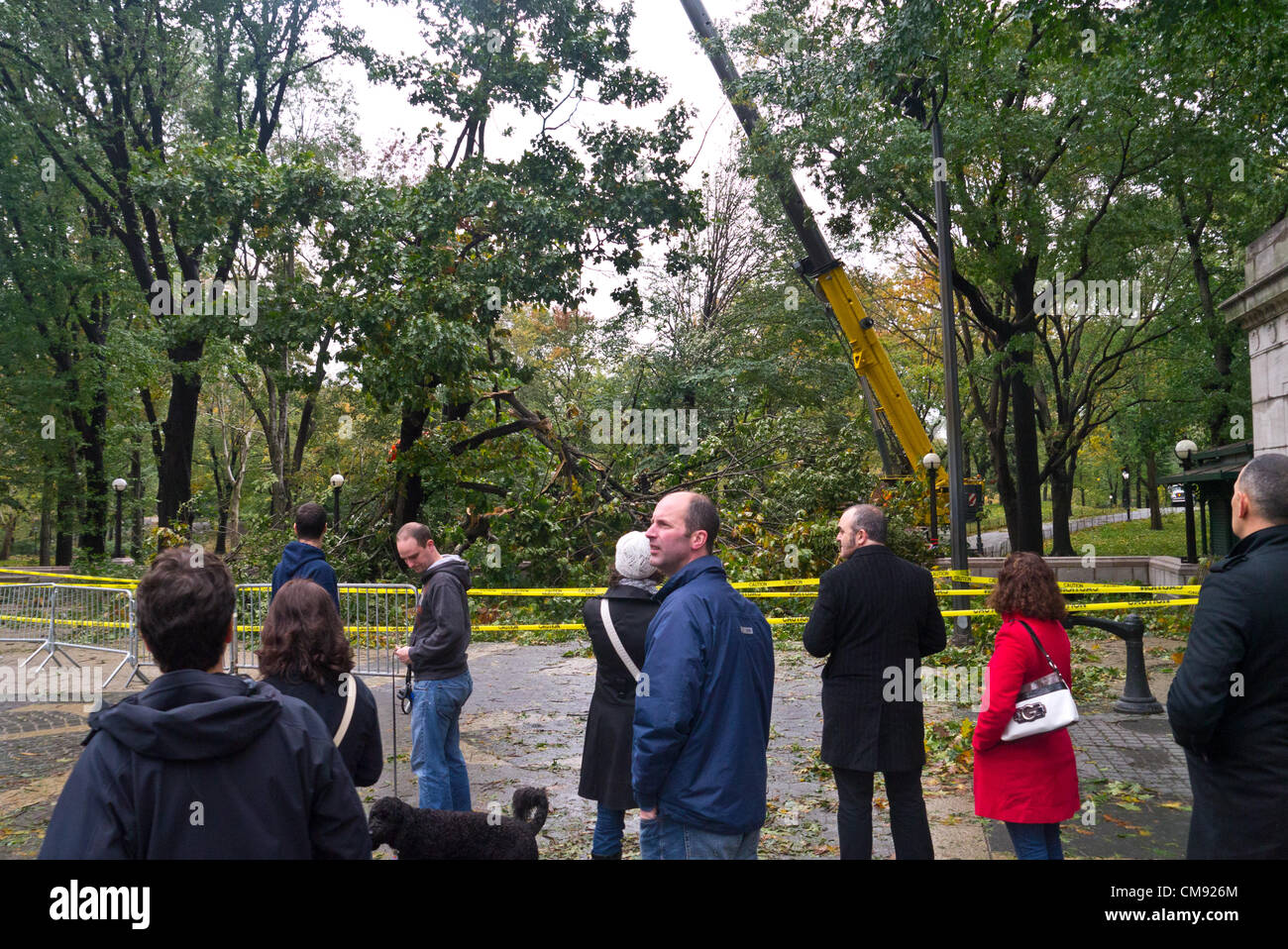 NEW YORK - 30 ottobre: 2012 persone si riuniscono per guardare e scattare foto dei lavoratori lottando per rimuovere gli alberi abbattuti nel parco centrale di un giorno dopo l uragano Sandy Ottobre 30, 2012 in New York City. (Foto di Donald Bowers ) Foto Stock