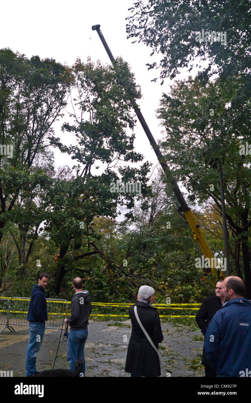 NEW YORK - 30 ottobre: 2012 persone si riuniscono per guardare e scattare foto dei lavoratori lottando per rimuovere gli alberi abbattuti nel parco centrale di un giorno dopo l uragano Sandy Ottobre 30, 2012 in New York City. (Foto di Donald Bowers ) Foto Stock