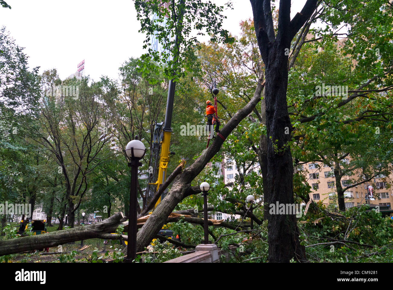 NEW YORK - 30 ottobre: 2012 lavoratori lotta per rimuovere gli alberi abbattuti nel parco centrale di un giorno dopo l uragano Sandy Ottobre 30, 2012 in New York City. (Foto di Donald Bowers ) Foto Stock