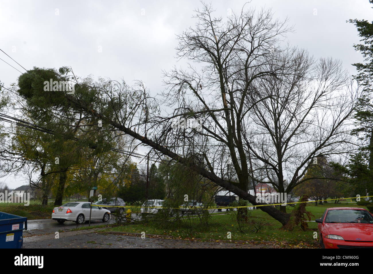 Betlemme, Pennsylvania, USA, 30 ott 2012. Un giorno dopo l uragano Sandy soffiava su Pennsylvania, molti alberi caduti sulle linee di alimentazione, provocando una diffusa interruzioni elettriche. Foto Stock