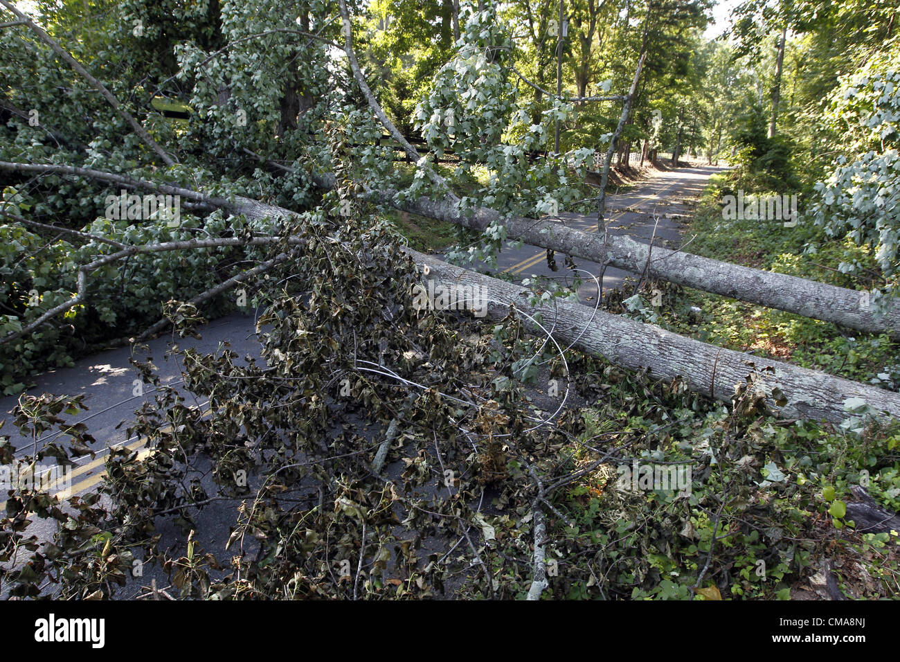 2 luglio 2012 - Charlottesville, Virginia, Stati Uniti - alberi e linee di alimentazione continua al blocco stradale in Crozet, Va. Virginia Power equipaggi sono dovrebbe rimanere loro oggi. Alta venti da venerdì notte di tempesta abbattuto numerosi alberi e hanno causato gravi interruzioni di corrente in tutta la zona. (Credito Immagine: © Andrew Shurtleff/ZUMAPRESS.com) Foto Stock