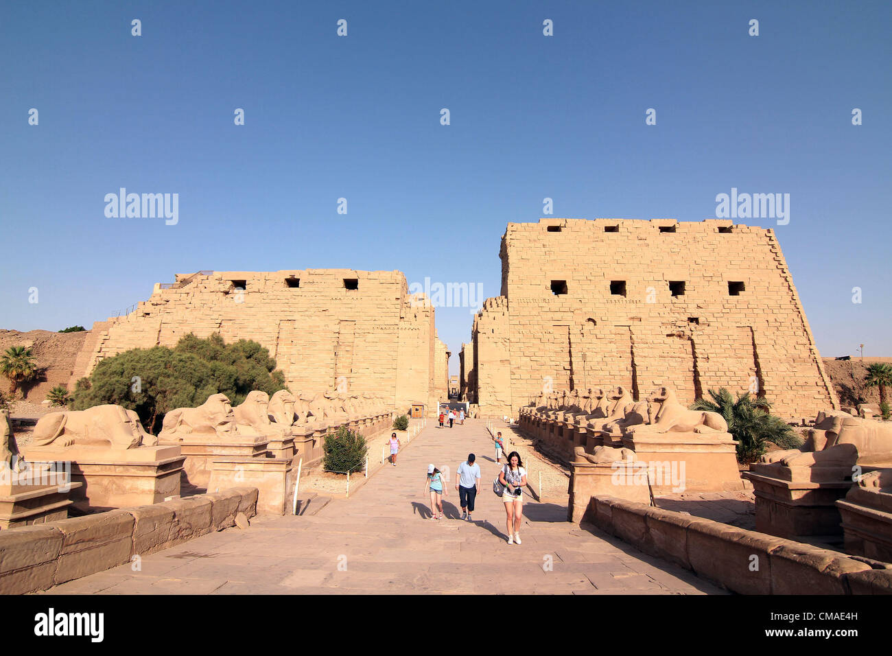 Febbraio 19, 2012 - Luxor Egitto - Karnak Luxor privo di qualsiasi turista come Unione ecomonic recessione accoppiato con la crisi politica in Egitto vede il crollo del turismo a un livello allarmante (credito Immagine: © Theodore Liasi/ZUMAPRESS.com) Foto Stock