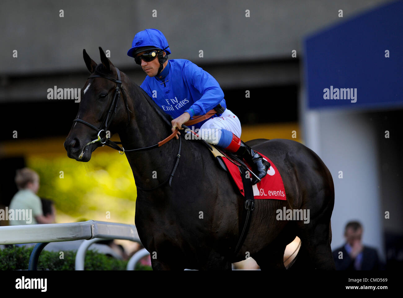 22.07.2012 Ascot, Inghilterra. 3. Piacendo Foe (USA), Jockey : Frankie Dettori. Proprietario: Godolphin. Trainer: Saed bin Suroor, Newmarket in GL events Owen marrone picchetti di Handicap (classe 2 Handicap)durante l'Ascot Betfair Weekend con proprietà Raceday. Foto Stock