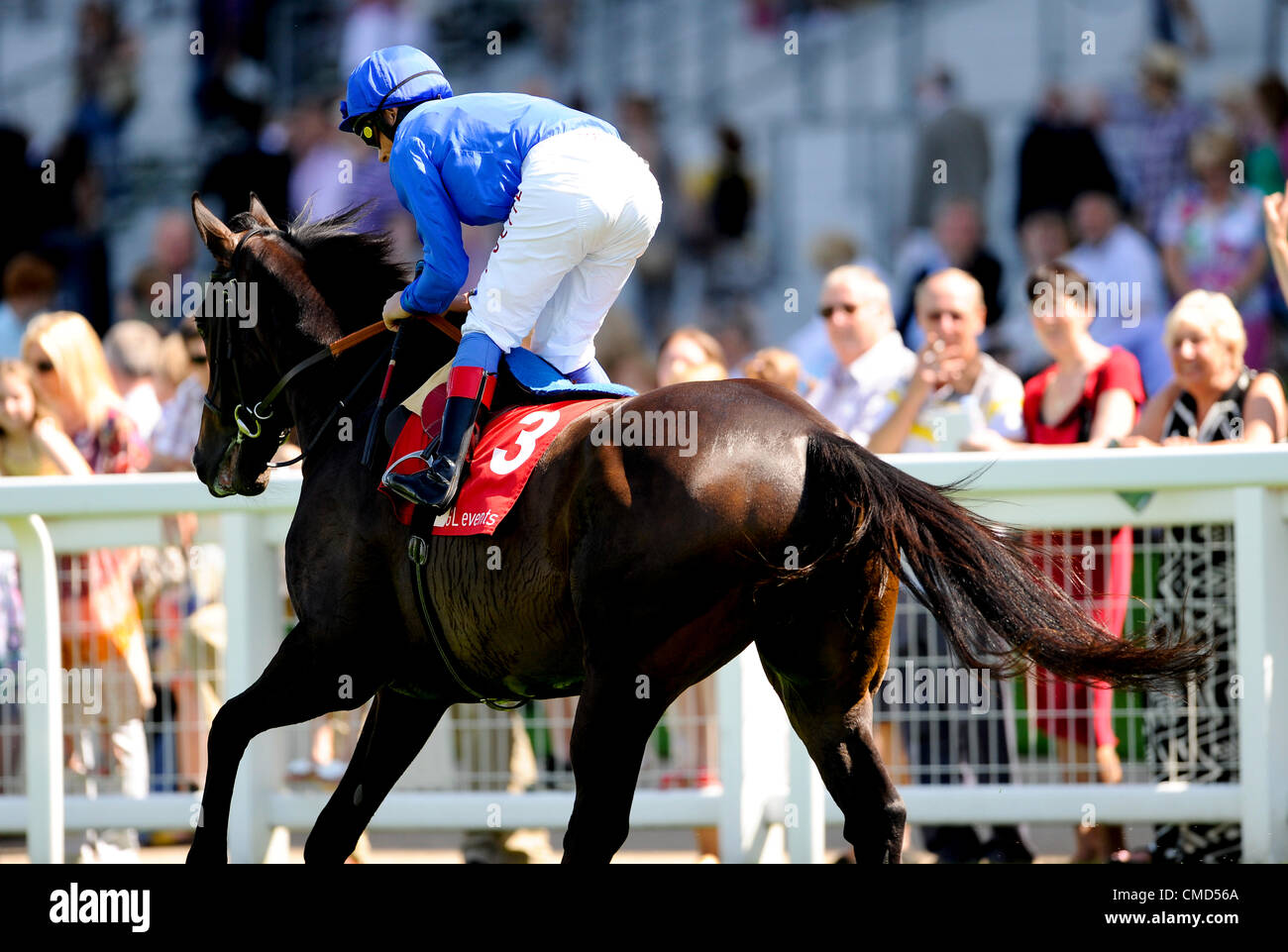 22.07.2012 Ascot, Inghilterra. 3. Piacendo Foe (USA), Jockey : Frankie Dettori. Proprietario: Godolphin. Trainer: Saed bin Suroor, Newmarket in GL events Owen marrone picchetti di Handicap (classe 2 Handicap)durante l'Ascot Betfair Weekend con proprietà Raceday. Foto Stock