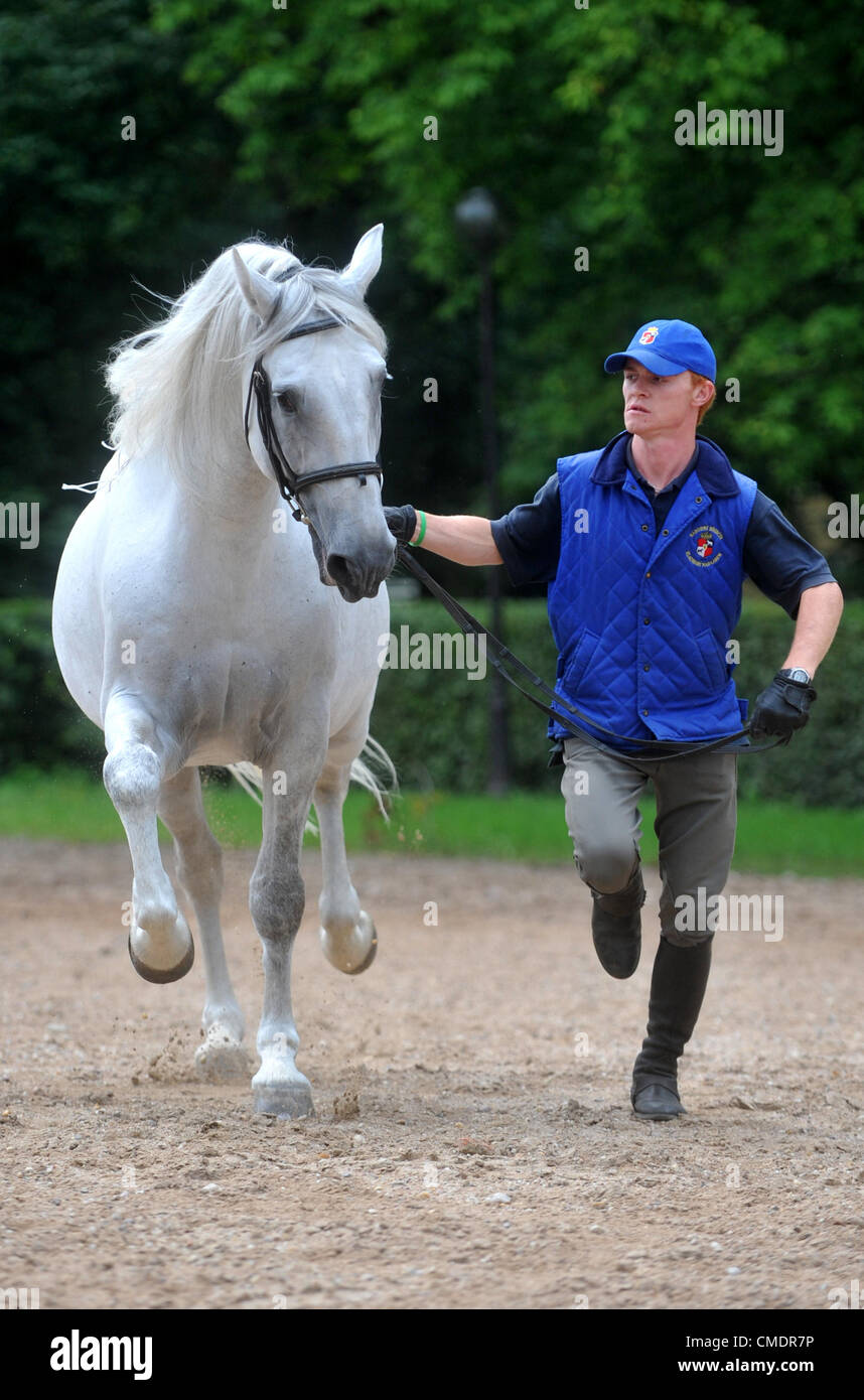 National Stud di Kladruby nad Labem, Repubblica Ceca, mercoledì 25 luglio, 2012. (CTK foto/Josef Vostarek) Foto Stock