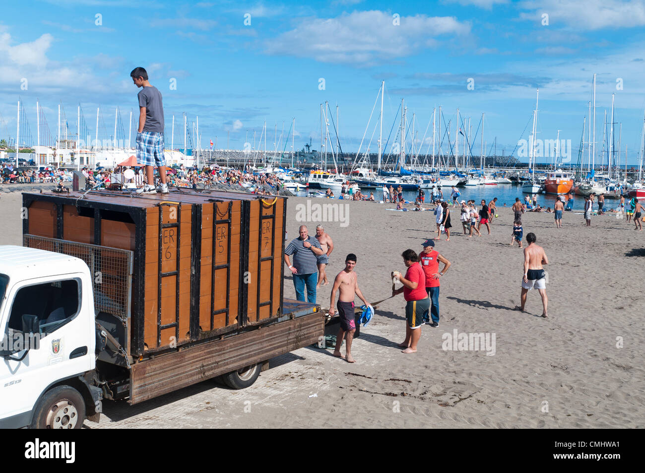 Preparativi per la corrida sulla spiaggia di sabbia di Praia da Vitória, isola di Terceira, Azzorre, Portogallo, con folle che si radunano per assistere all'evento. 11 agosto 2012. Corrida sulla spiaggia di sabbia della città di Praia da Vitória, Azzorre (il bestiame proveniva dagli allevatori Herdeiros de Ezequiel Rodrigues) i tori arrivano dai prati all'arena sulla spiaggia di sabbia per le più grandi feste dell'isola di Terceira Foto Stock