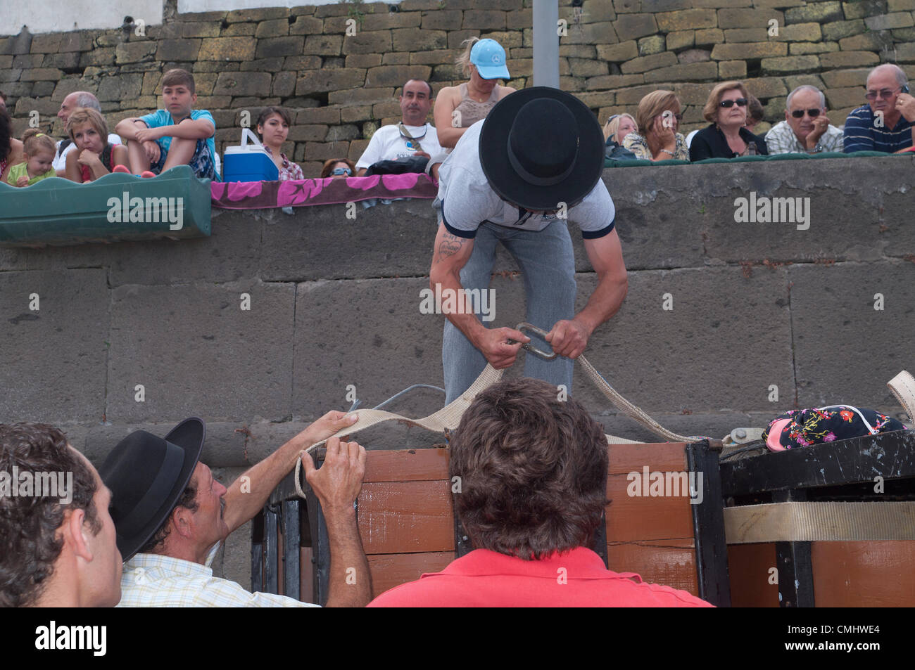 Preparativi per la corrida sulla spiaggia di sabbia di Praia da Vitória, isola di Terceira, Azzorre, Portogallo, con folle che si radunano per assistere all'evento. 11 agosto 2012. Corrida sulla spiaggia di sabbia della città di Praia da Vitória, Azzorre (il bestiame proveniva dagli allevatori Herdeiros de Ezequiel Rodrigues) i tori arrivano dai prati all'arena sulla spiaggia di sabbia per le più grandi feste dell'isola di Terceira Foto Stock
