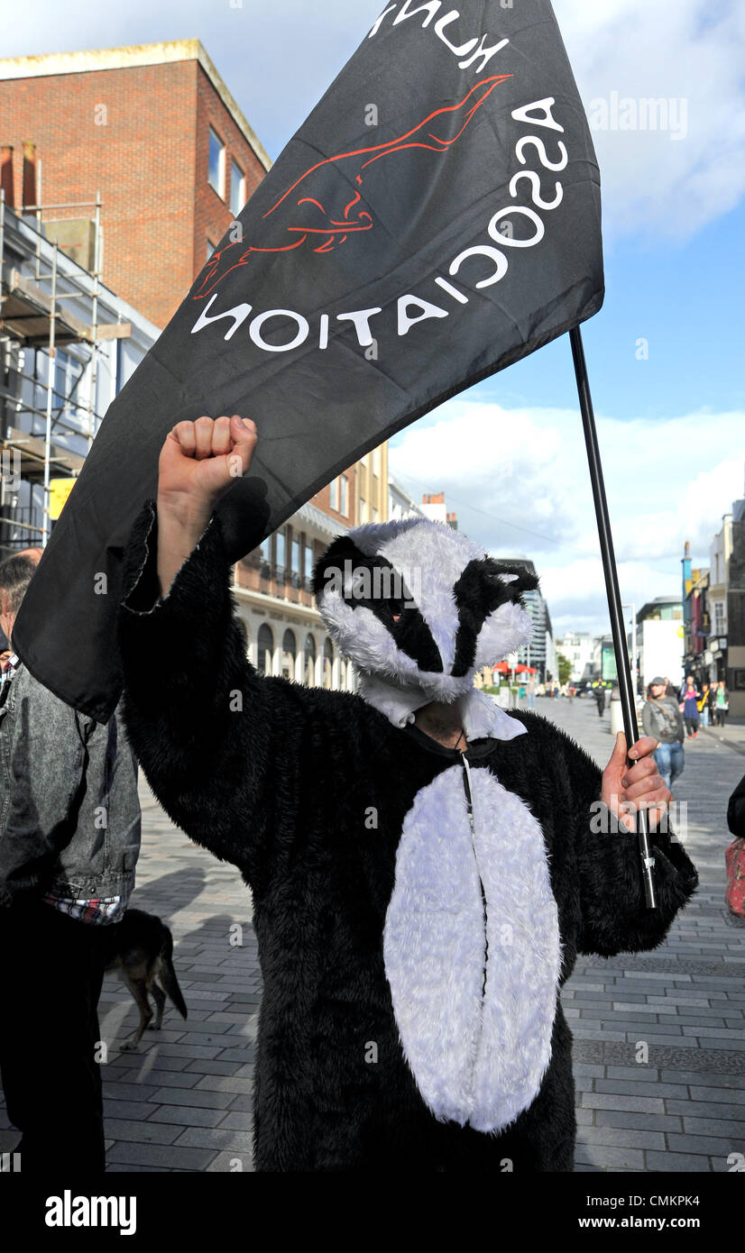 Anti badger cull protesta a Brighton Regno Unito Foto Stock