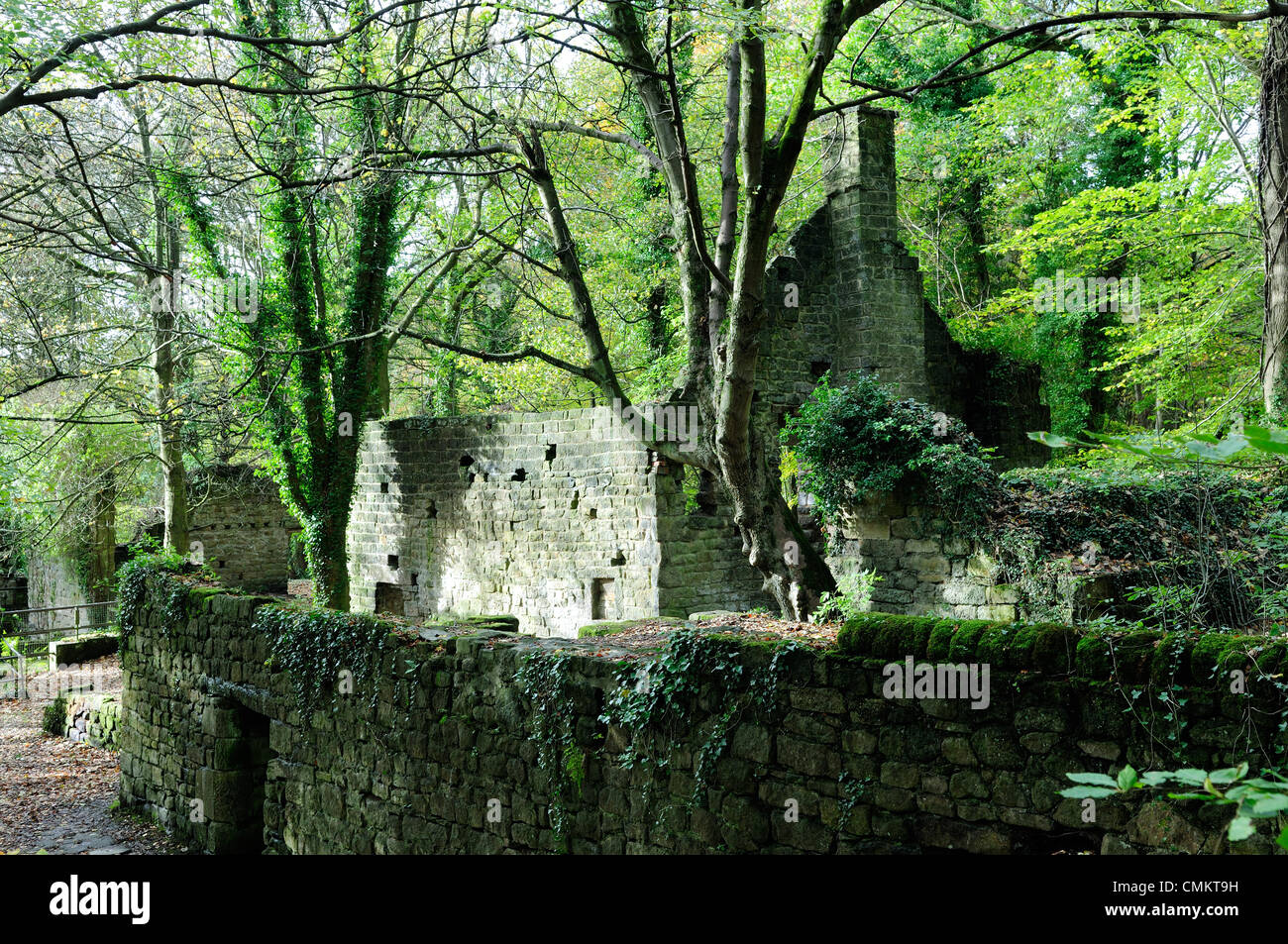 Valle Lumsdale, Derbyshire, Regno Unito. 3 Novembre, 2013. Una gola boscosa di eccezionale bellezza naturale.parte di Sir Richard Arkwright mills. Credito: Ian Francesco/Alamy Live News Foto Stock