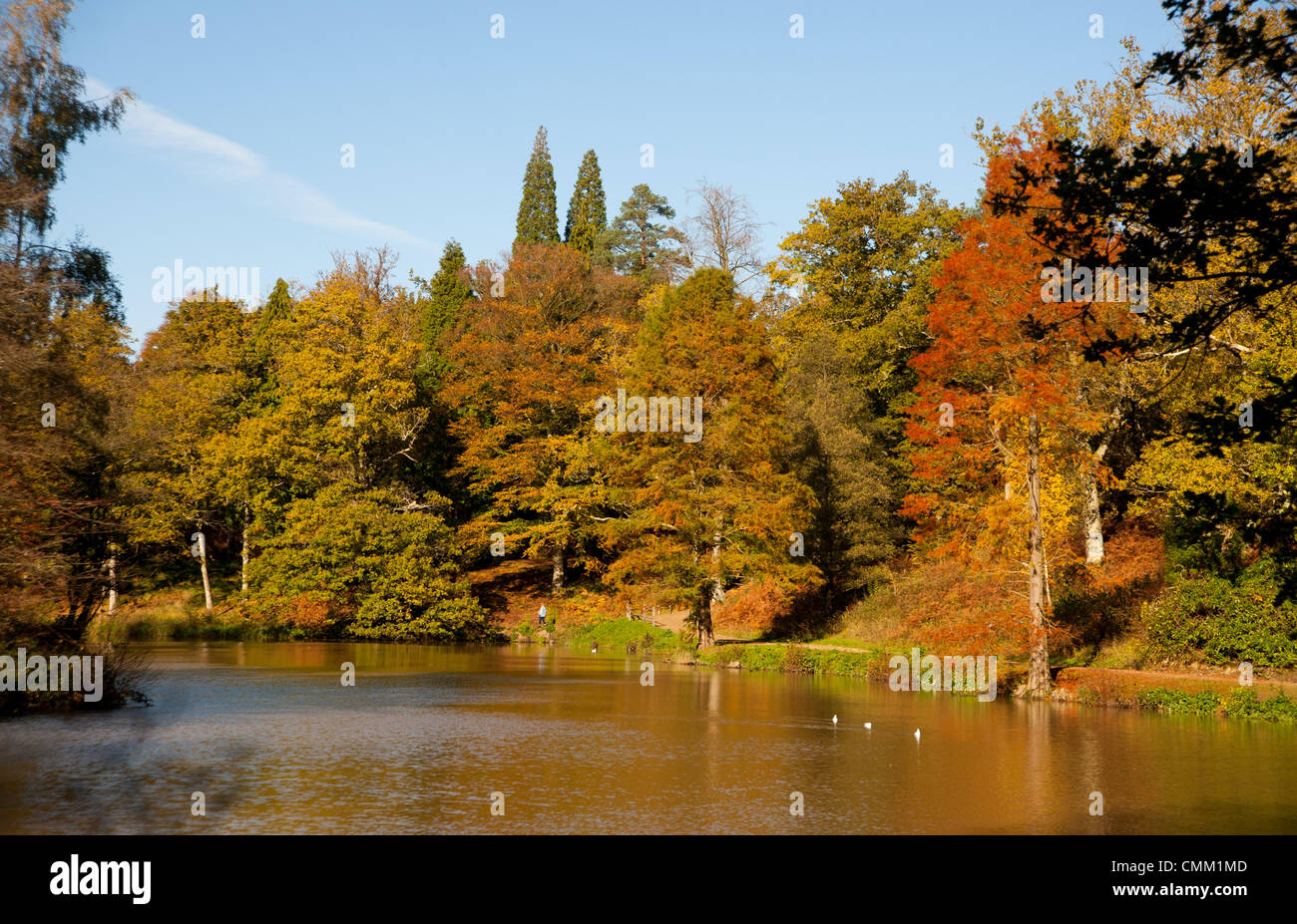 Wakehurst SUSSEX REGNO UNITO 4 Novembre 2013 - i colori dell'autunno stanno guardando i loro migliori nel luogo Wakehurst Gardens Foto Stock