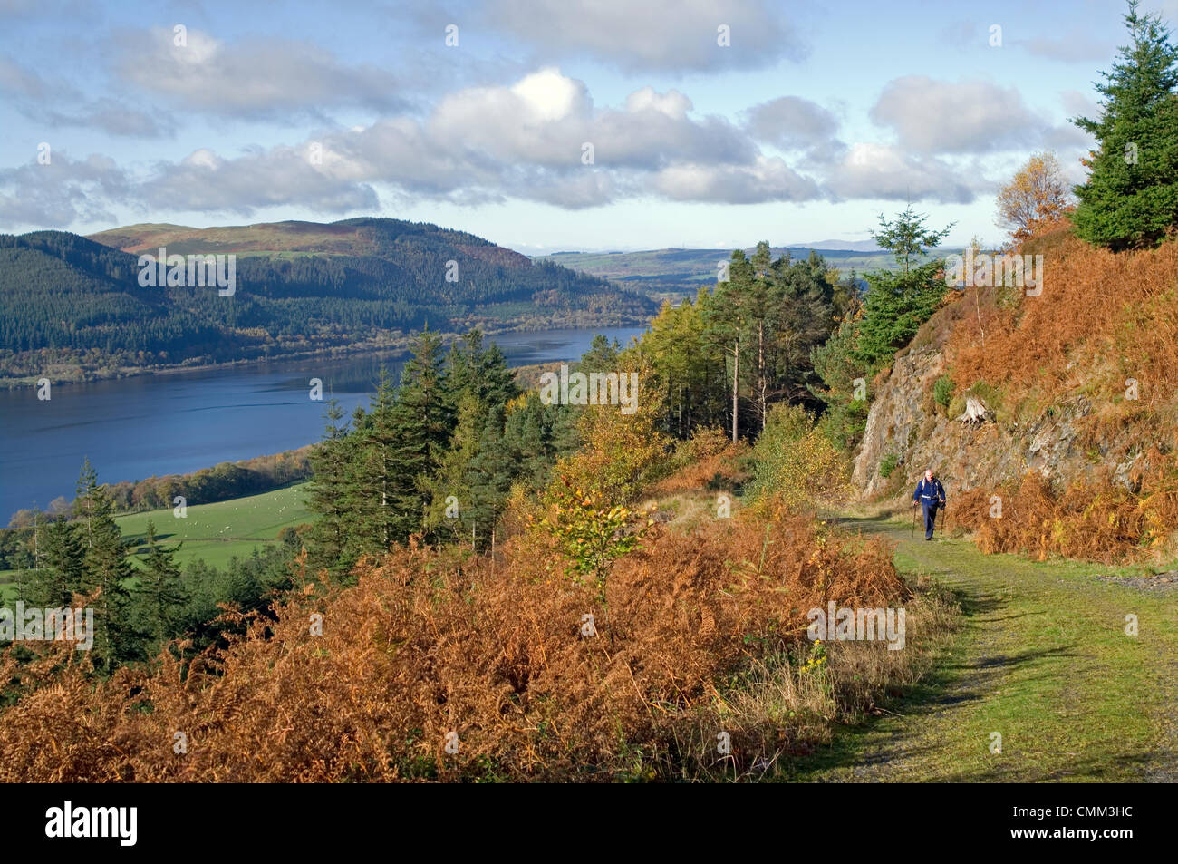 Dodd legno, dal lago di Bassenthwaite, nel distretto del lago, Cumbria, England Regno Unito, 4 novembre 2013. Una cresta di alta pressione dà calma, soleggiato e un viandante gode dei colori autunnali in la commissione forestale bosco a Dodd cadde, sopra il lago di Bassenthwaite. Ci sono diversi sentieri segnavia in legno, compreso il percorso al vertice, come mostrato qui di seguito. Credito: Julie friggitrice/Alamy Live News Foto Stock