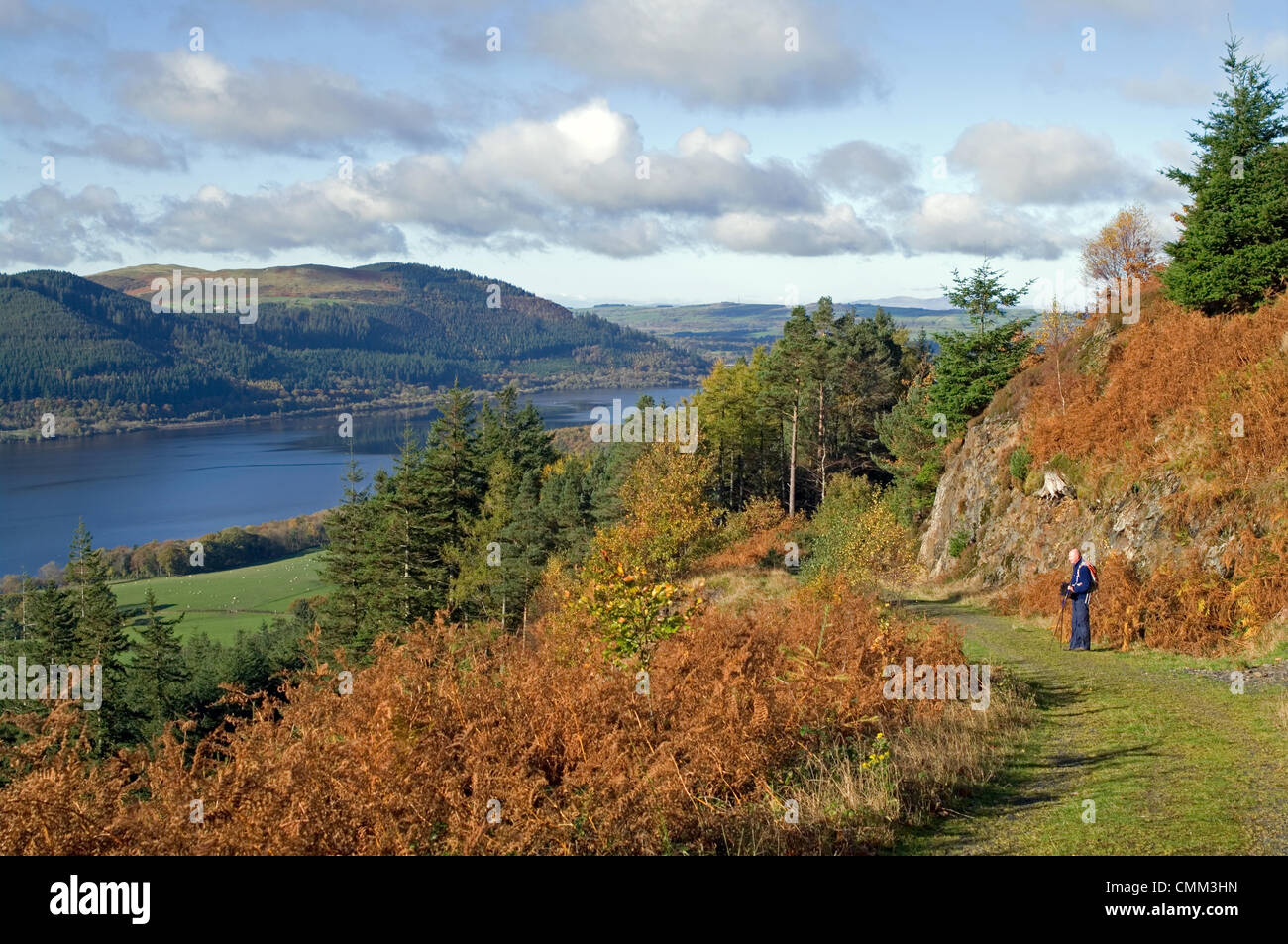 Dodd legno, dal lago di Bassenthwaite, nel distretto del lago, Cumbria, England Regno Unito, 4 novembre 2013. Una cresta di alta pressione dà calma, soleggiato e un viandante gode dei colori autunnali in la commissione forestale bosco a Dodd cadde, sopra il lago di Bassenthwaite. Ci sono diversi sentieri segnavia in legno, compreso il percorso al vertice, come mostrato qui di seguito. Credito: Julie friggitrice/Alamy Live News Foto Stock