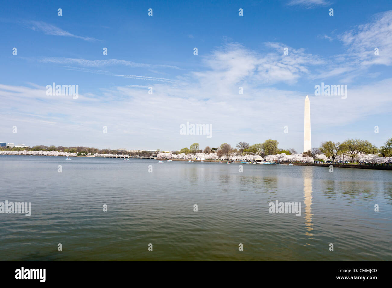 Fiori Ciliegio intorno al bacino di marea in Washington DC con il Monumento di Washington Foto Stock
