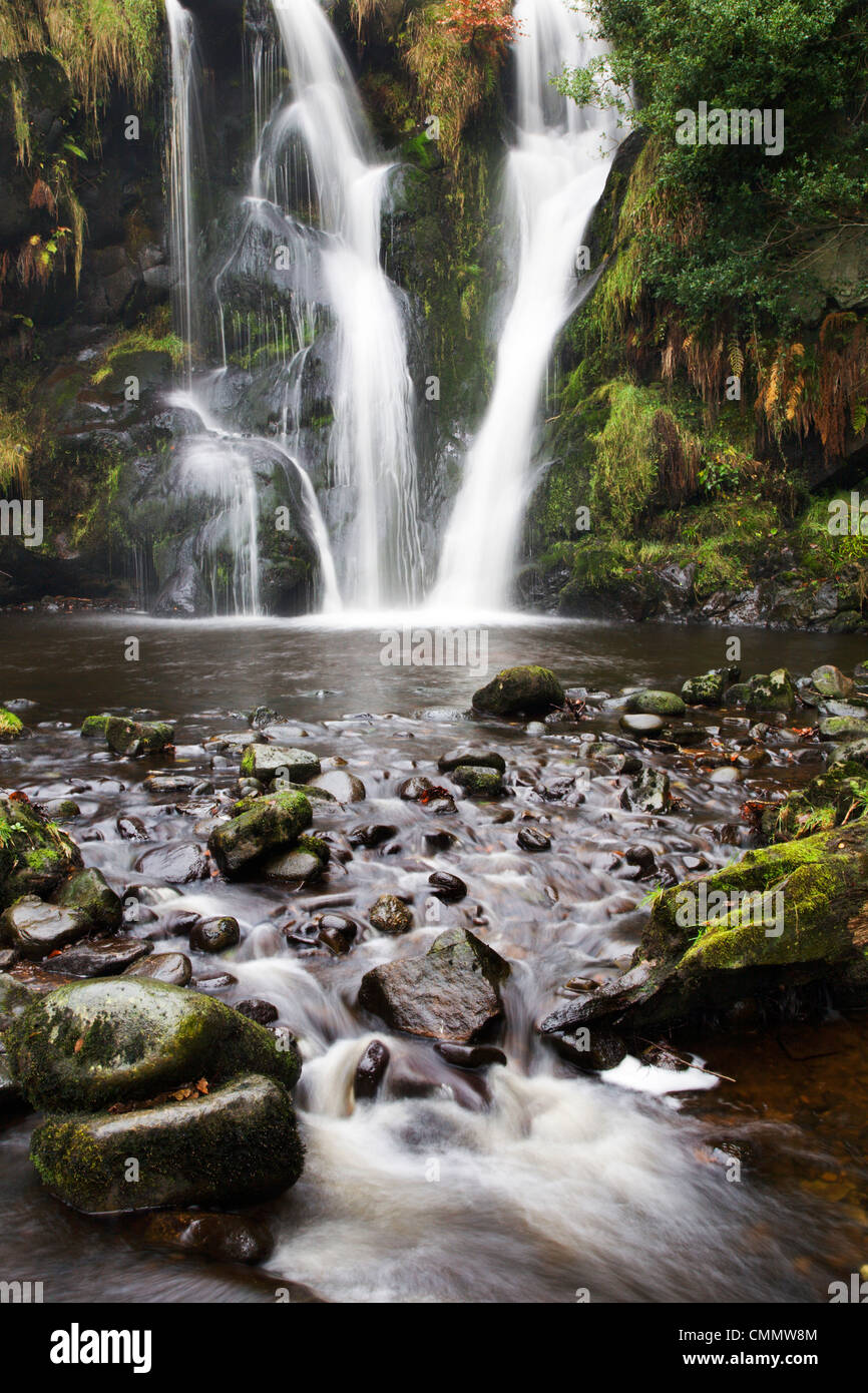 Posforth Gill cascata, Bolton Abbey, nello Yorkshire, Inghilterra, Regno Unito, Europa Foto Stock