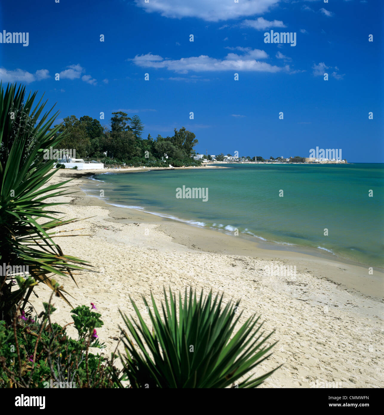 Vista lungo la spiaggia per la medina da il Sindbad Hotel, Hammamet, Cap Bon, in Tunisia, Africa Settentrionale, Africa Foto Stock