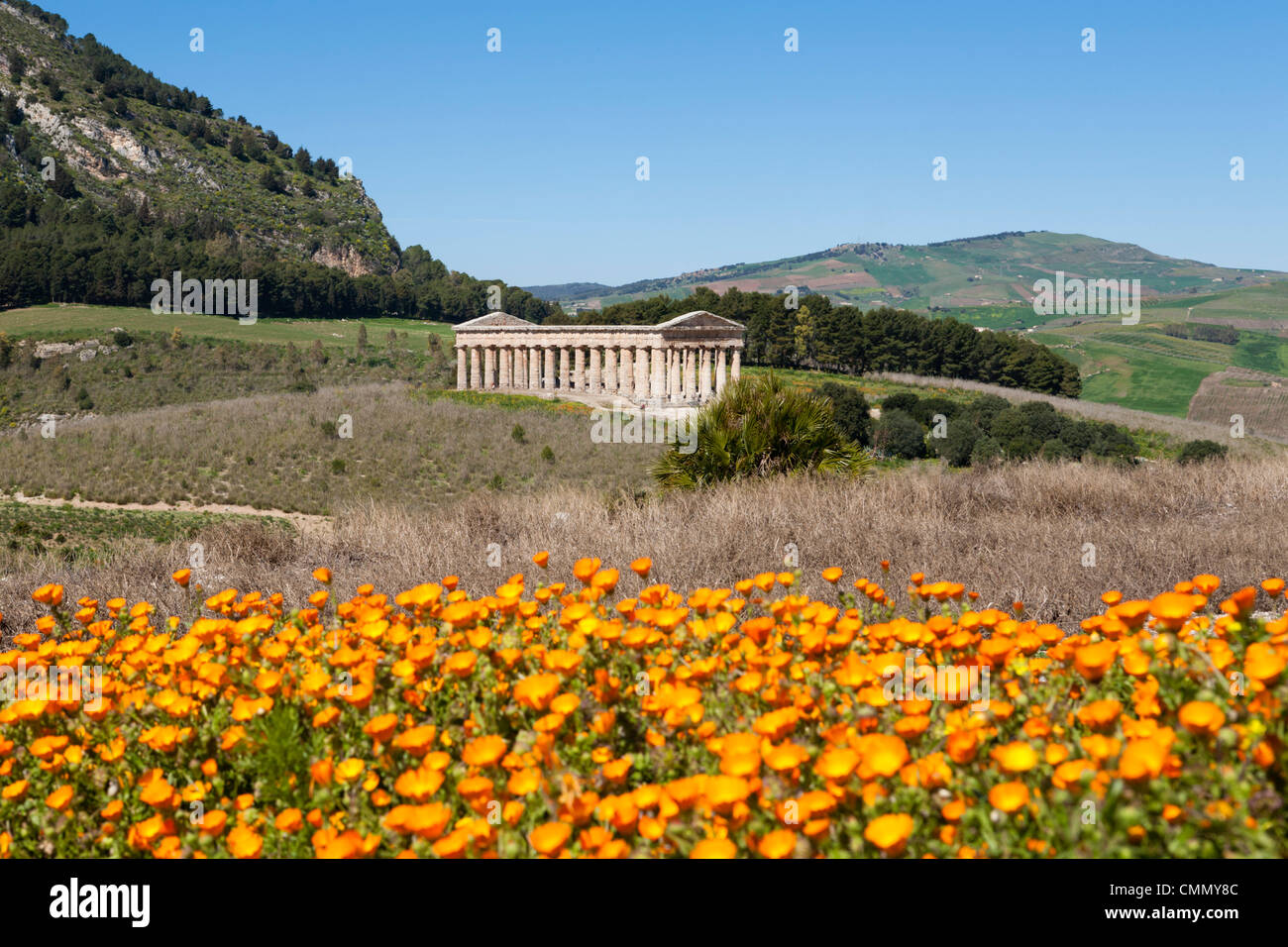 Vista sul Greco tempio dorico, Segesta, Sicilia, Italia, Europa Foto Stock