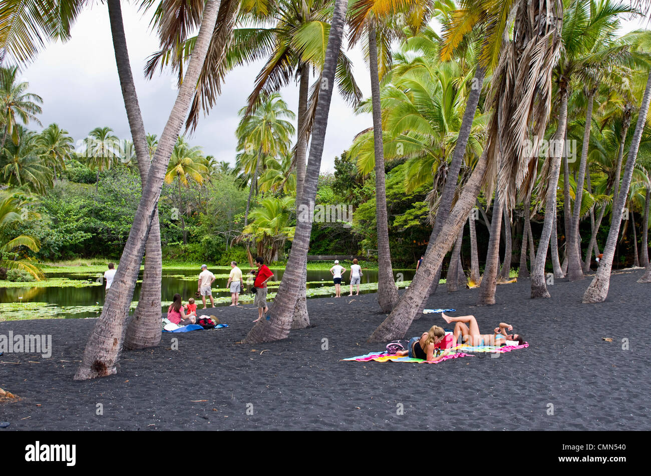 Stati Uniti d'America, Hawaii, Ka'u District (Isola del Sud). Gli ospiti godono di Punalu'u spiaggia di sabbia nera. Foto Stock