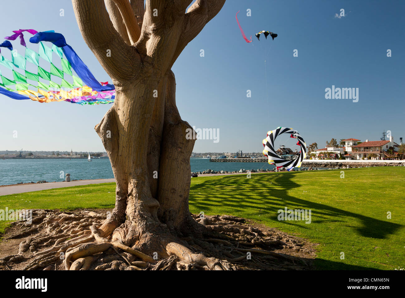 Aquiloni volando tra gli alberi in Embarcardero marine park-San Diego, California, USA. Foto Stock