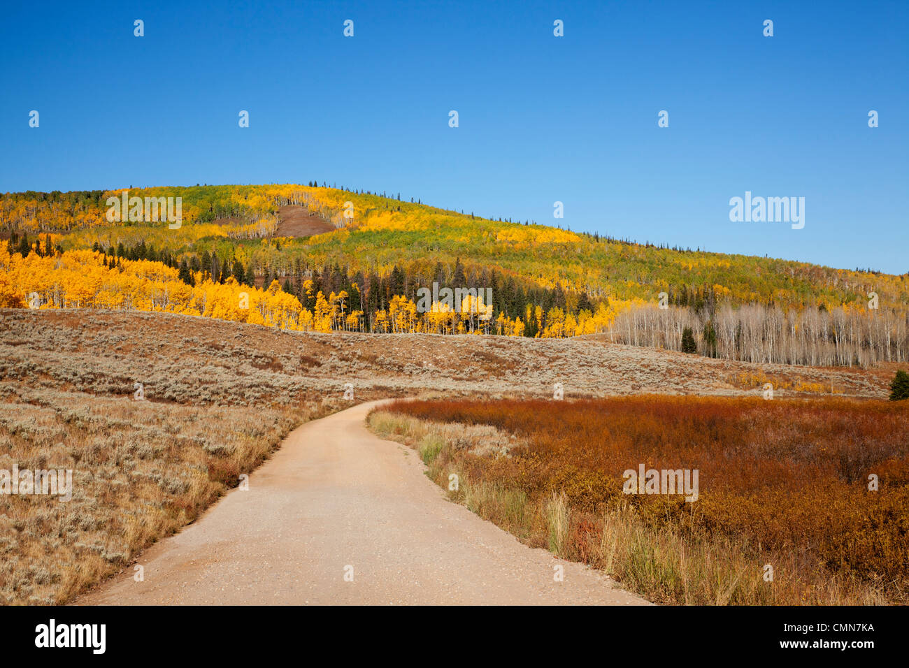 Utah; Uintah National Forest, Bacino di pietra ollare Road Foto Stock