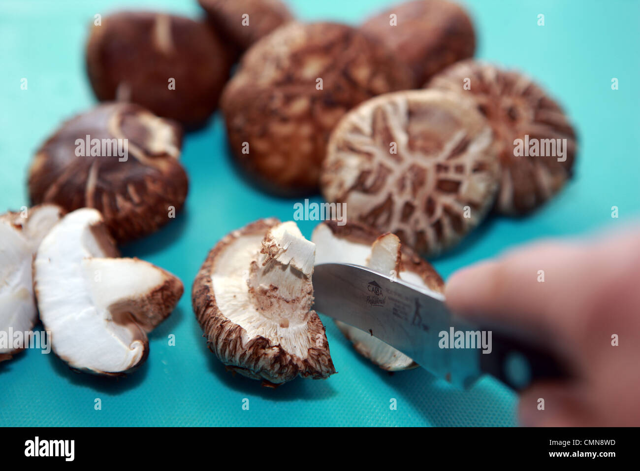 Il taglio di portabello funghi su un turchese tagliere Foto Stock