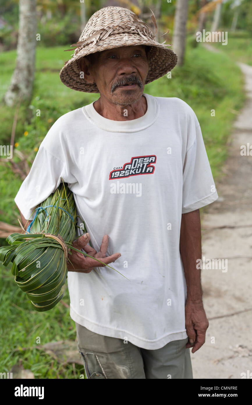 Riso balinesi agricoltore ritratto, Bali, Indonesia. Foto Stock