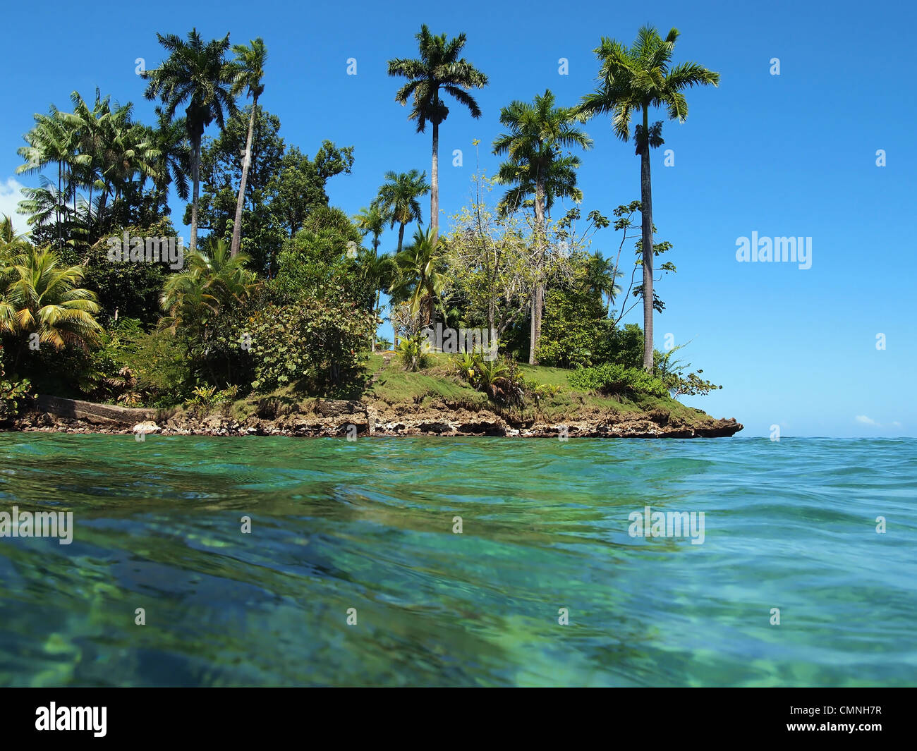 Isola dei caraibi con bellissima vegetazione tropicale visto dalla superficie dell'acqua Foto Stock