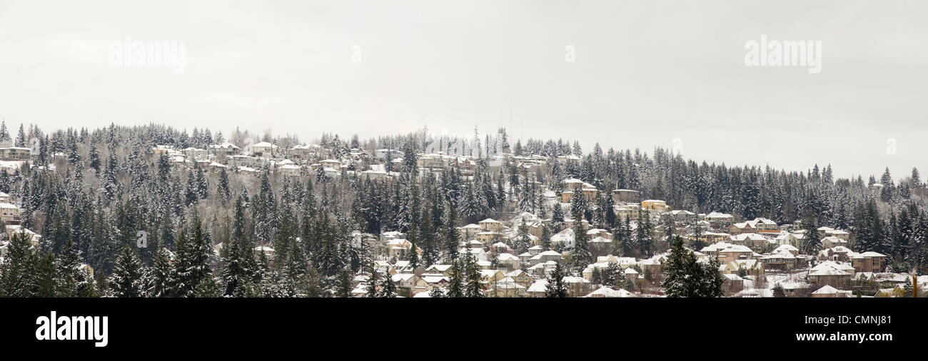 Case accoccolato tra alti abeti sulla montagna nel panorama invernale Foto Stock