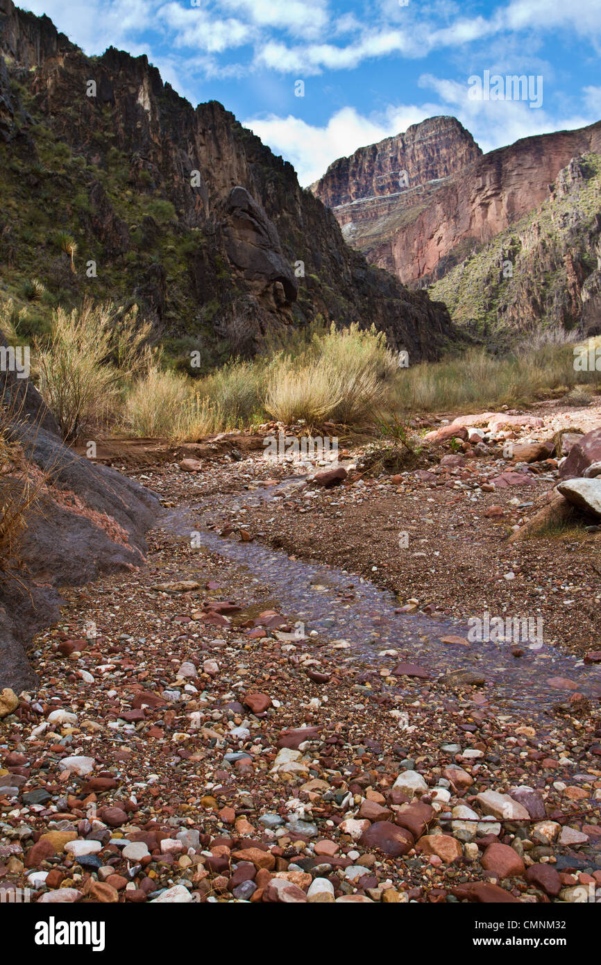 Vista verso il bordo sud fino monumento Creek da vicino il fiume Colorado e il Grand Canyon, AZ, a febbraio. Foto Stock