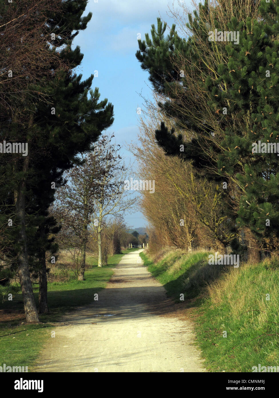 La Greenway, una bicicletta e walkers sentiero creato dal percorso di una vecchia linea ferroviaria a Stratford upon Avon, Warwickshire Foto Stock