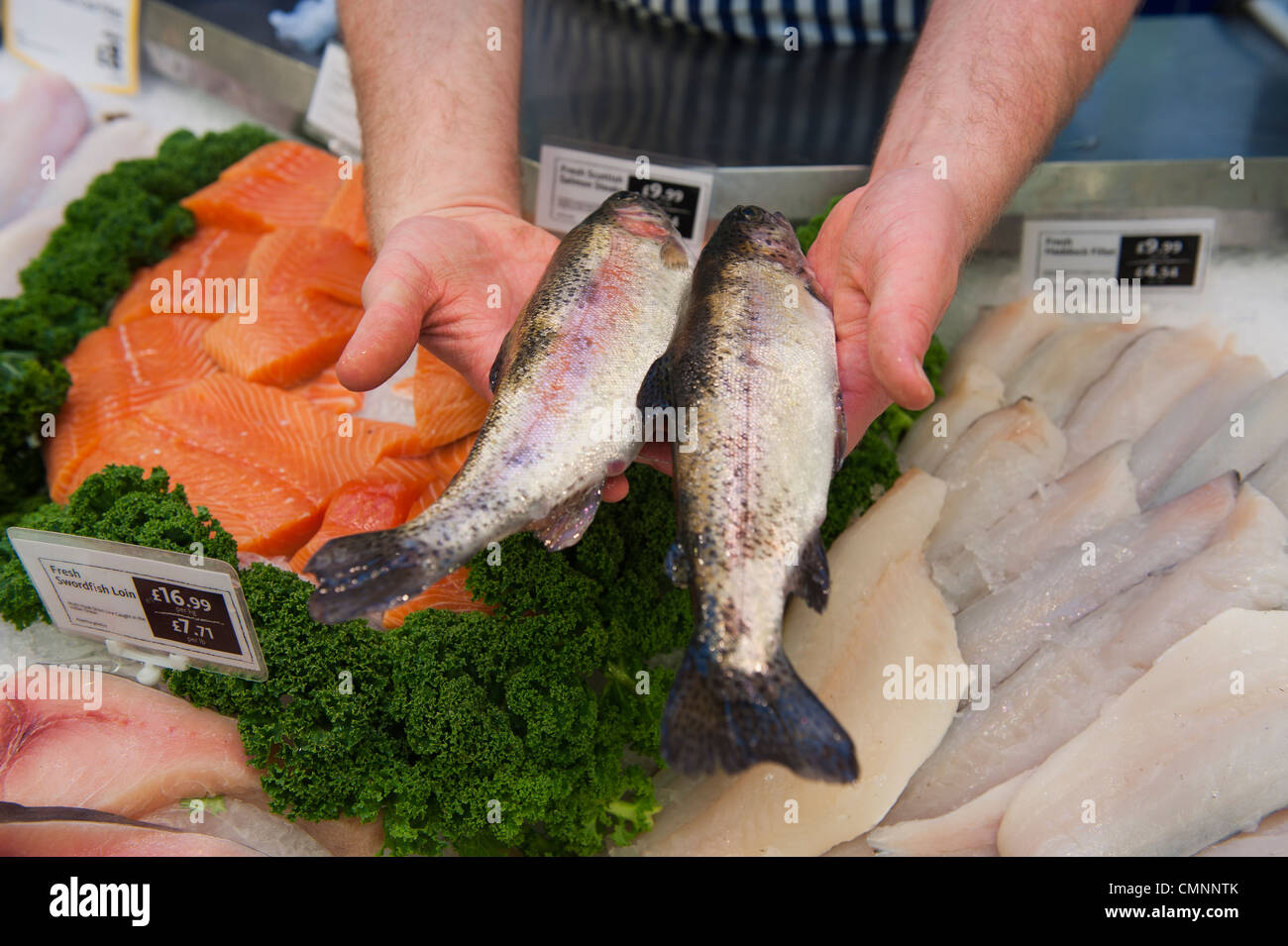 Un pesce monger tenendo due trote arcobaleno al contatore di pesce in un supermercato UK. Foto Stock