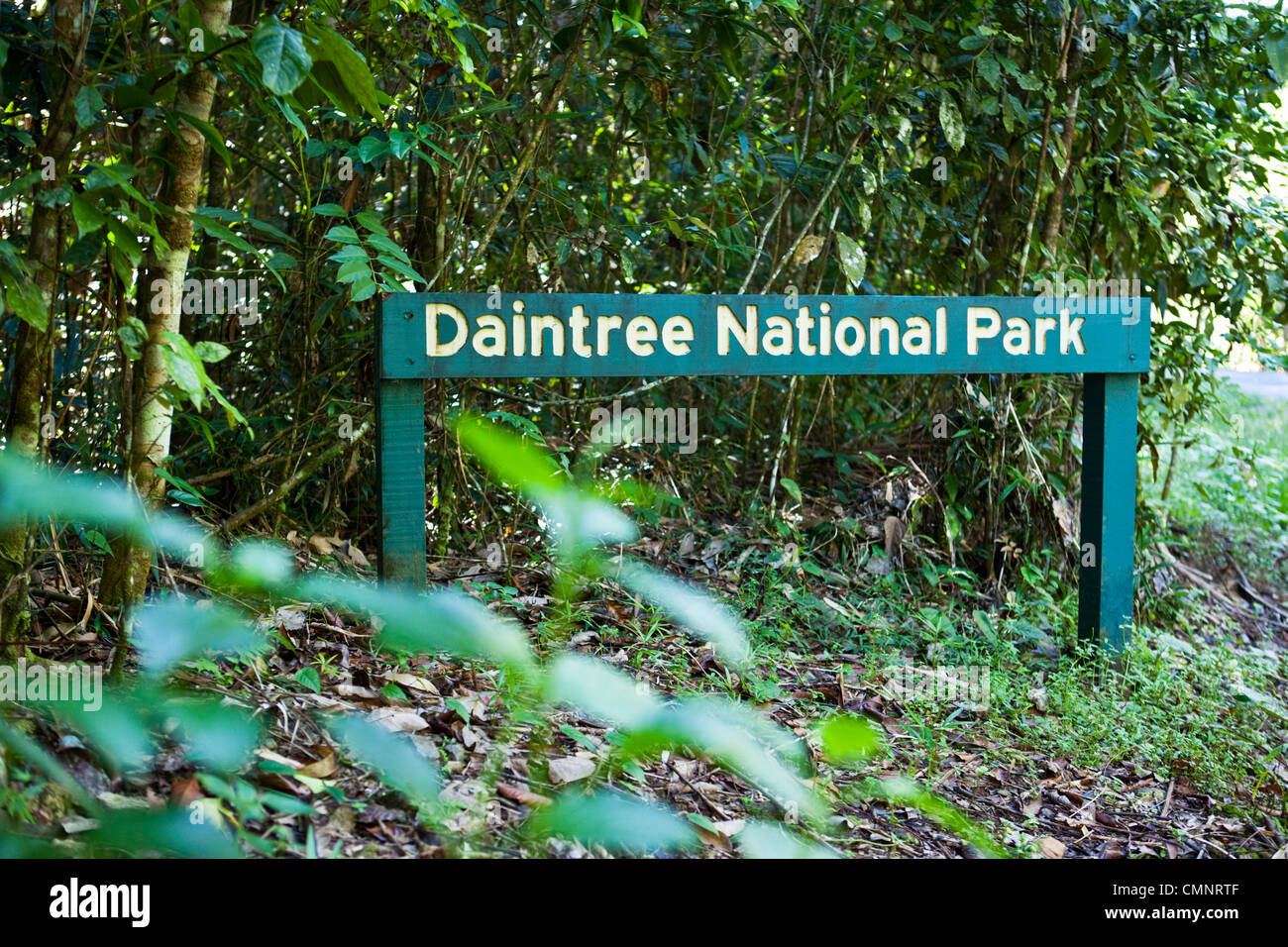 Segno nel Parco Nazionale Daintree, Queensland, Australia Foto Stock