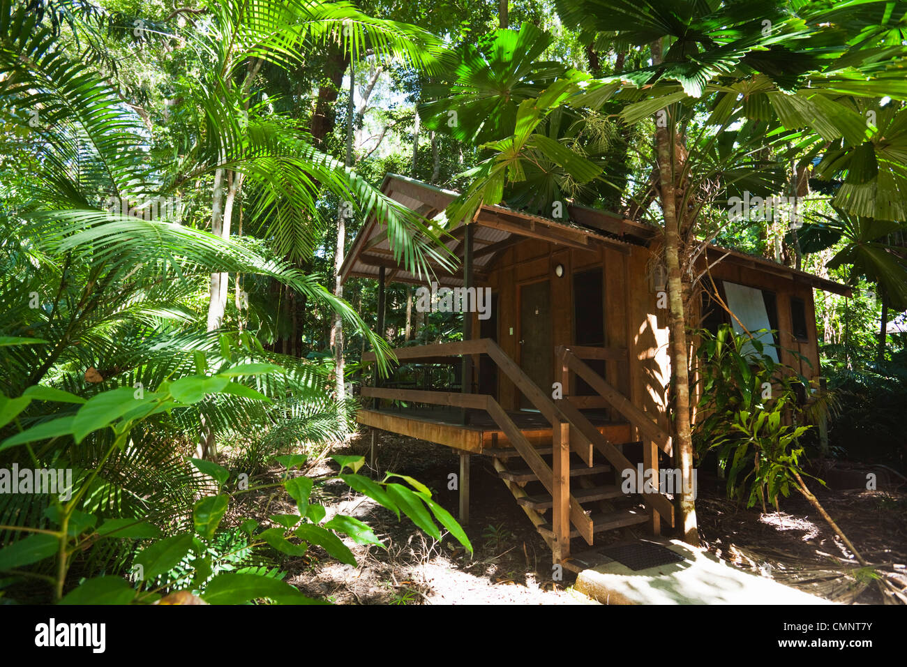 Cabina della foresta pluviale a PK giungla del villaggio. Cape Tribulation, Parco Nazionale Daintree, Queensland, Australia Foto Stock