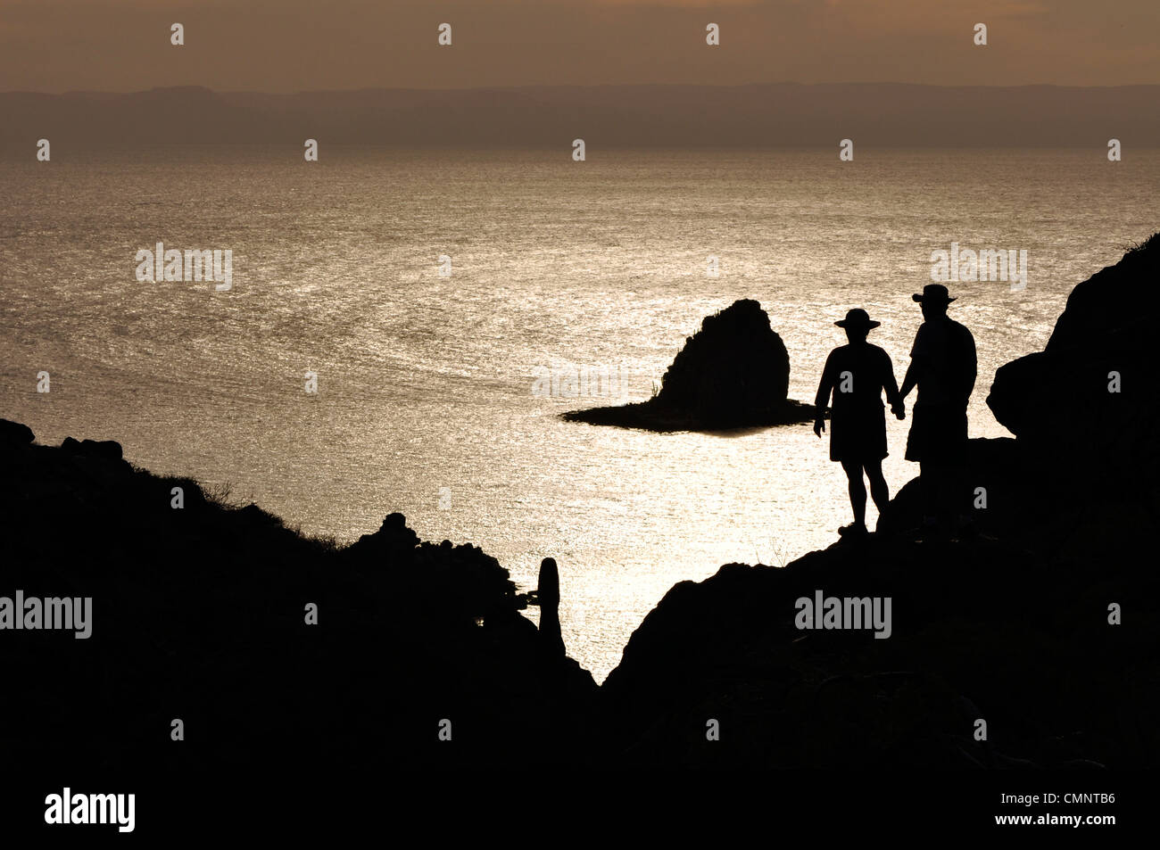 Giovane stagliano contro il mare di Cortez, Espiritu Santo Isola, Baja California, Messico. Foto Stock