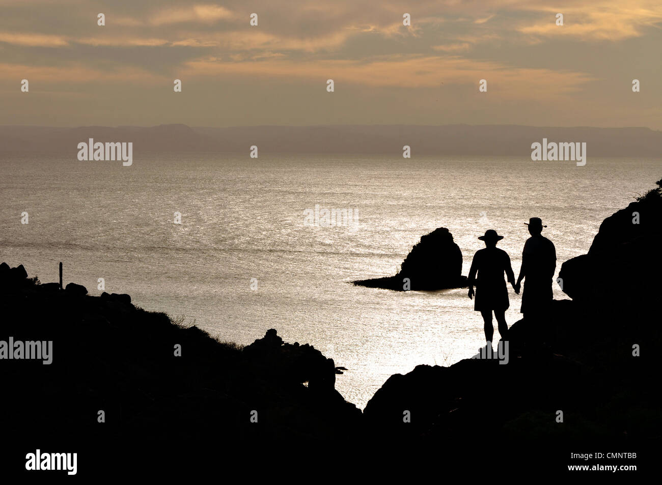 Giovane stagliano contro il mare di Cortez, Ispiritu Santo, Baja California, Messico. Foto Stock