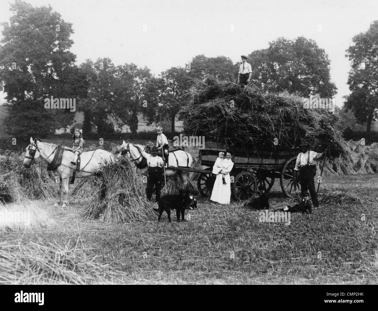 Fattoria di Compton, Tettenhall, circa 1920. Un'immagine di ciò che è più probabile che la famiglia di Wheeler in piedi accanto a un carro di fieno su Foto Stock