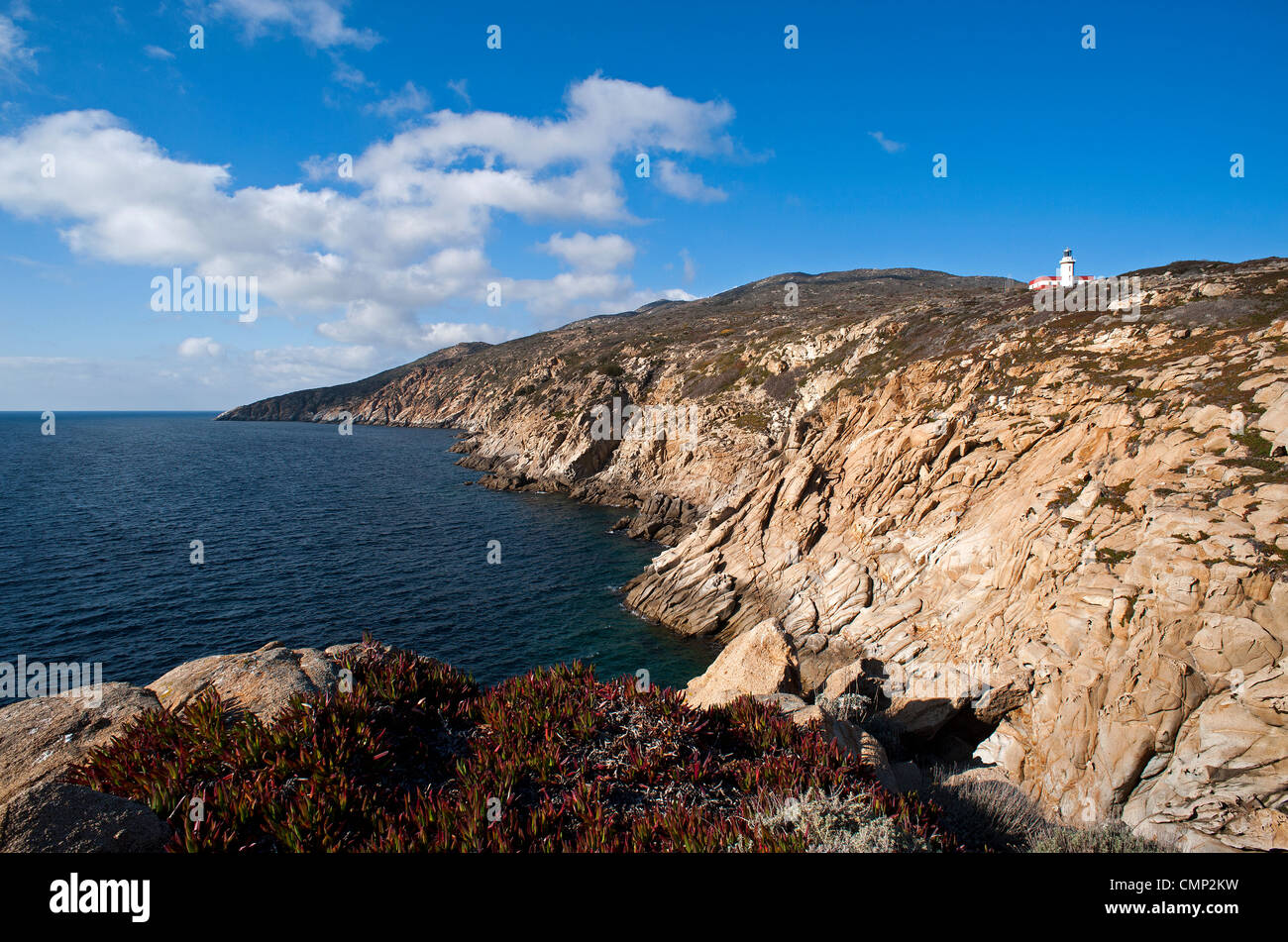 Punta di Capel Rosso e Cala Schizzatoio, Isola del Giglio, Grosseto, Toscana, Italia Foto Stock