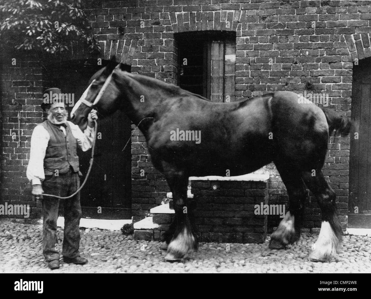 Henry Roden, "la Forge", Penn, tardo XIX cent. Signor Enrico Roden, Penn fabbro con un cavallo a La forge quando era in Foto Stock