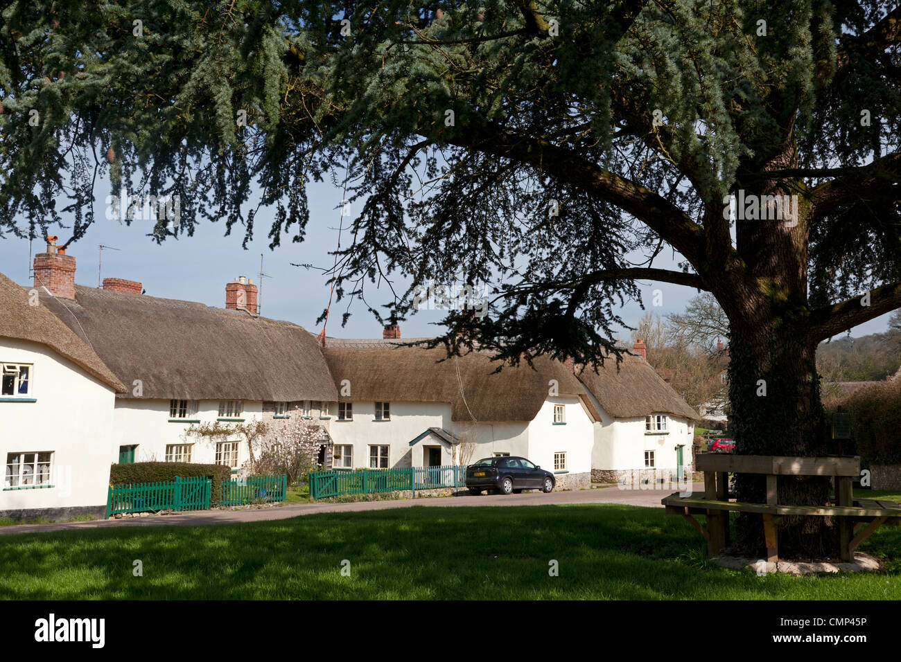 Cottage con il tetto di paglia accanto al villaggio verde, Gittisham, Devon Foto Stock