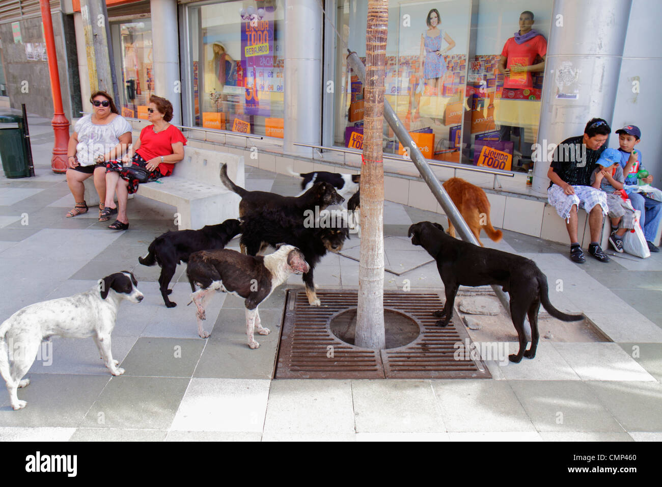 Arica Chile,Paseo Peatonal 21 de Mayo,centro commerciale pedonale,donna ispanica donne,uomo uomini maschio,ragazzo ragazzi,bambini bambini bambini bambini bambini giovani,padre,paren Foto Stock