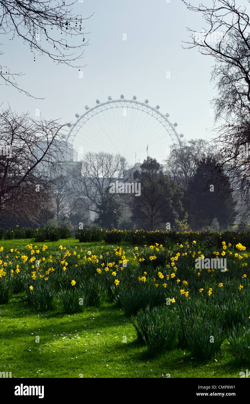 St James park view sul London Eye Foto Stock