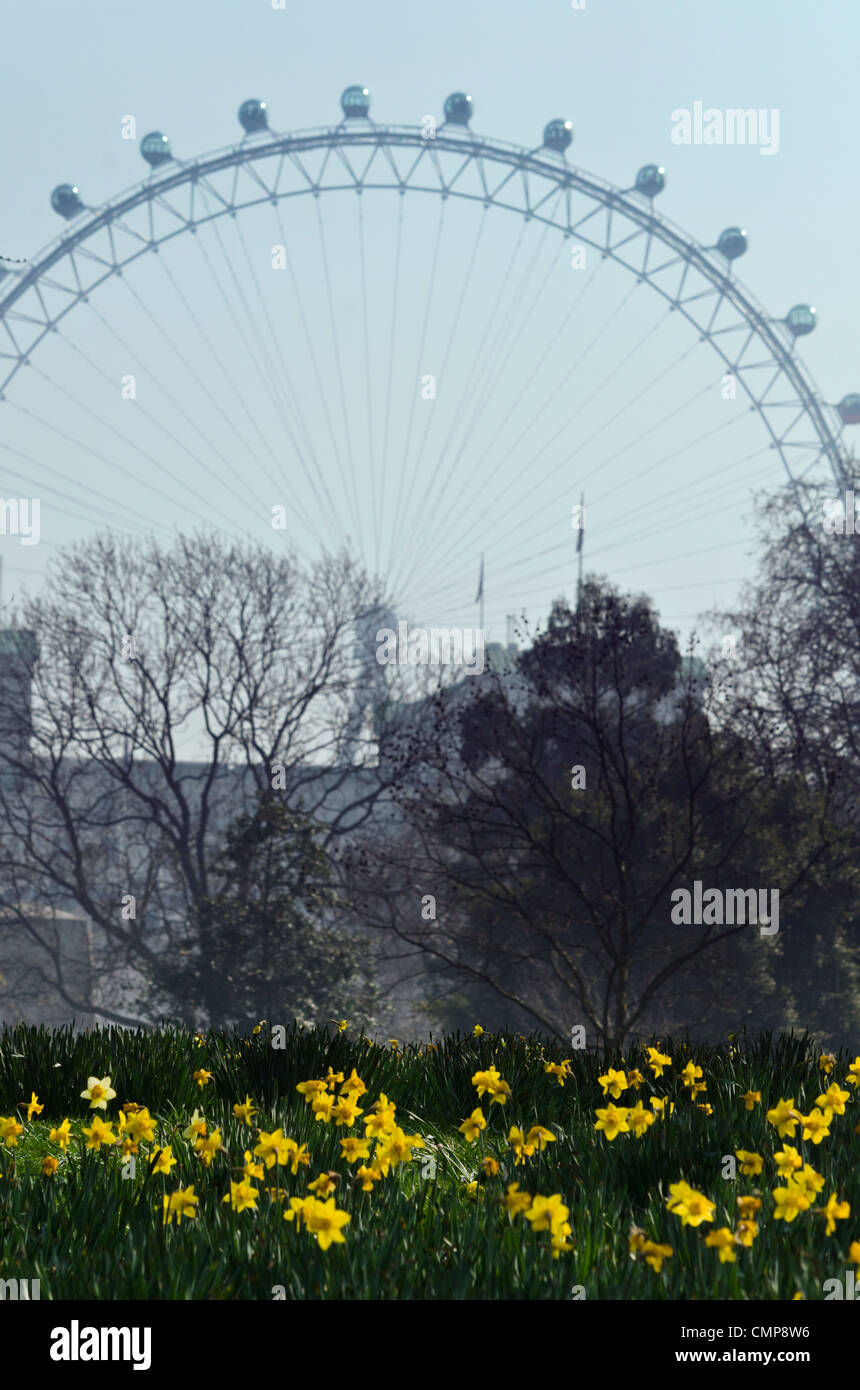 St James park view sul London Eye Foto Stock