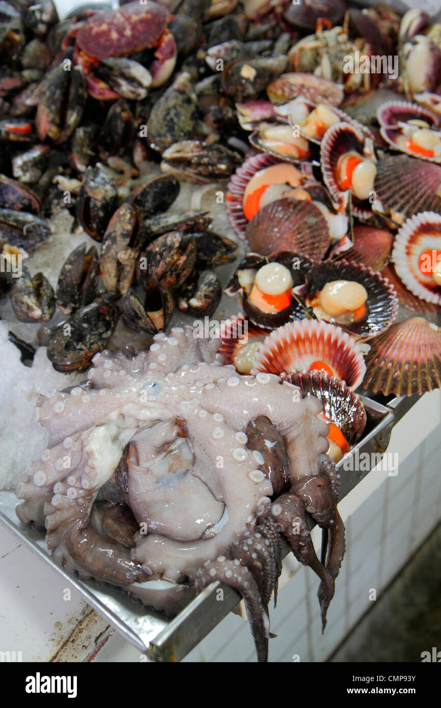 Lima Peru,Surquillo,Mercado de Surquillo,mercato,stallo,shopping shopper shopping negozi mercato mercati di mercato di acquisto vendere, negozio al dettaglio stor Foto Stock Lima Peru,Surquillo,Mercado de Surquillo,mercato,stallo,shopping shopper shopping negozi mercato mercati di mercato di acquisto vendere, negozio al dettaglio stor Foto Stock