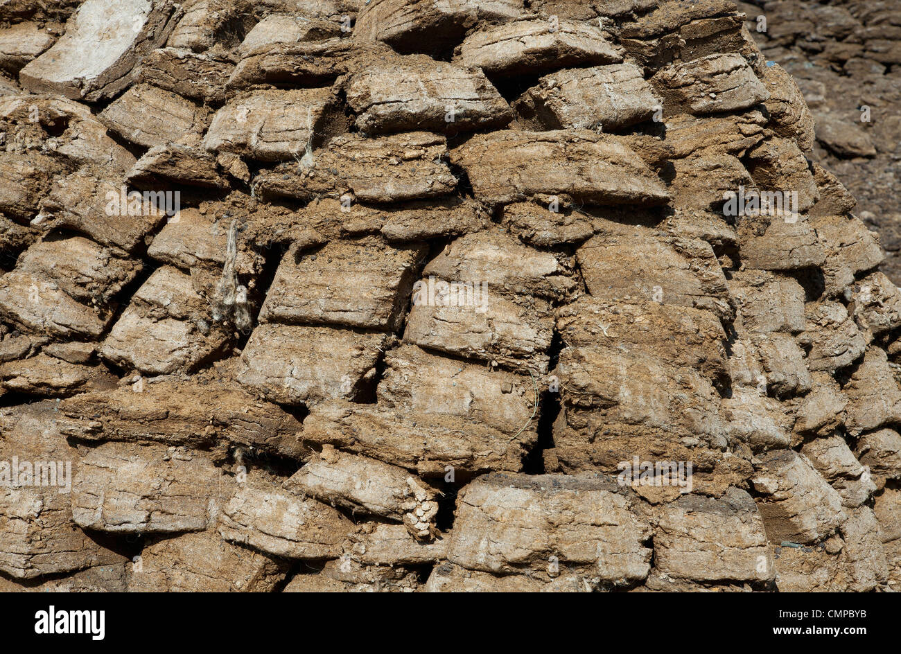 Premuto concime di pecora. È utilizzato come combustibile nelle steppe della Mongolia e Kazakhstan Foto Stock